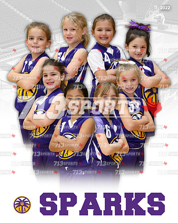 5 & 7 - Sparks (Welte)w Team Picture