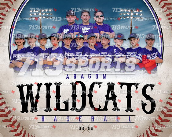 14U - Aragon Wildcats Team Picture