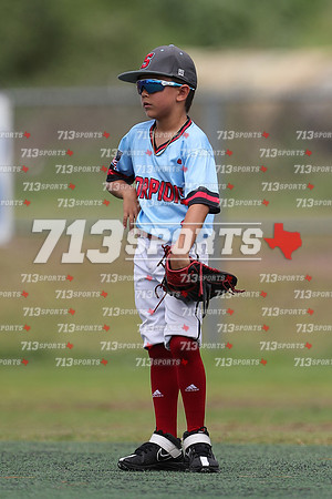 gallery 2179-153
