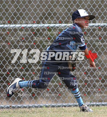 gallery 2135-134